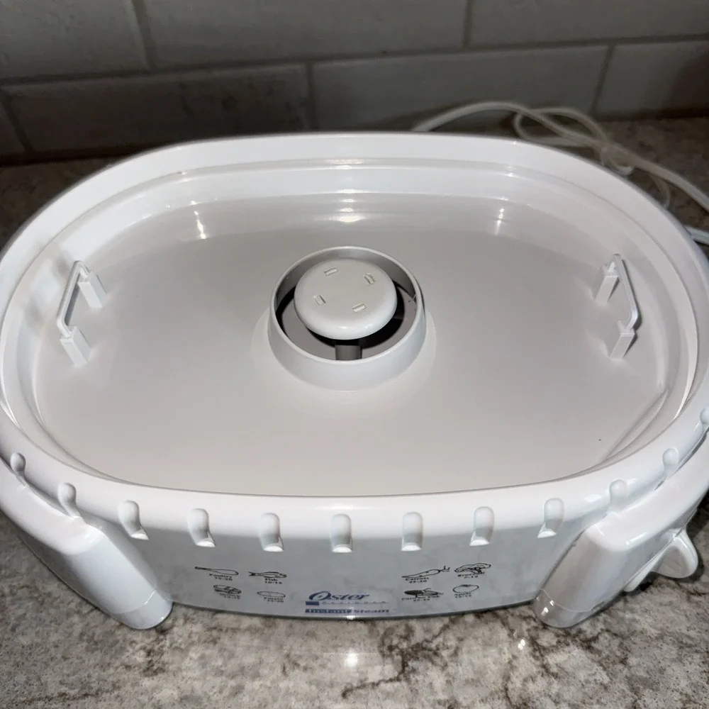 Sunbeam Oster Instant Steam 4711 Food Rice Steamer 2 Tier 6 Quart Clean Works